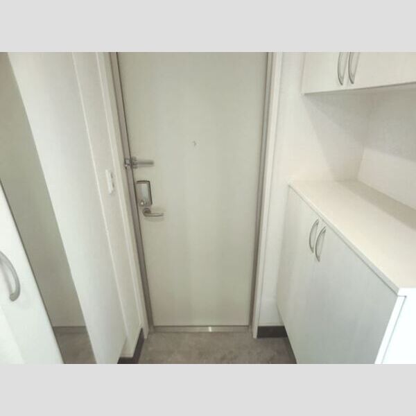 ロイジェントパークス レイクタウン Ⅱ　A108号室 玄関