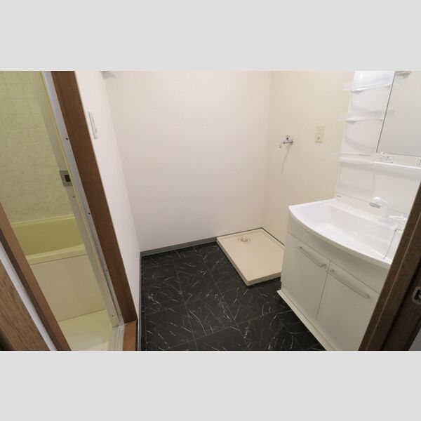 グランシャリオ大宮203号室 洗面所