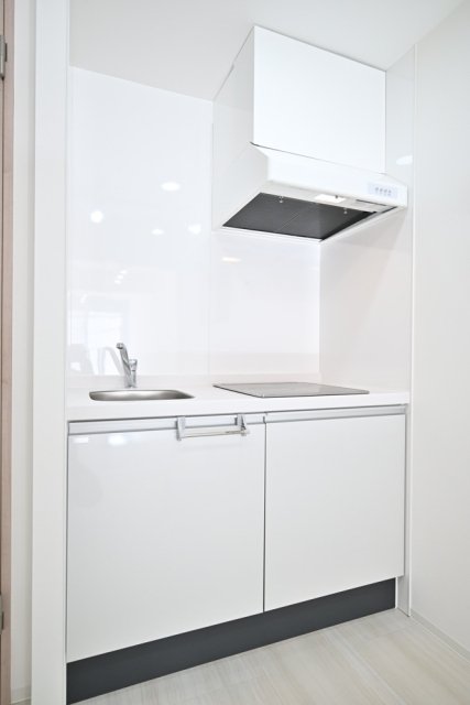 Ｌｕｐｉｎｕｓ目白台1階 キッチン