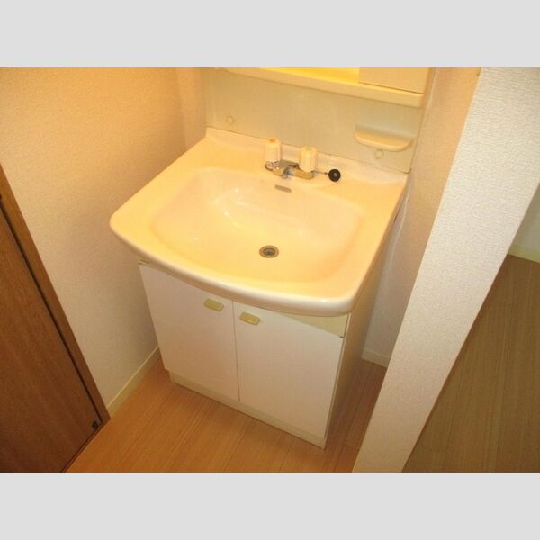 グリーンヒルズ　B棟201号室 化粧台