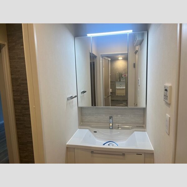 カスタリア浅草橋0202号室 洗面所