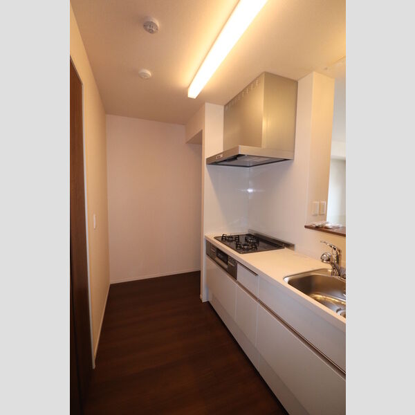 ムサオゴAS304号室 システムキッチン