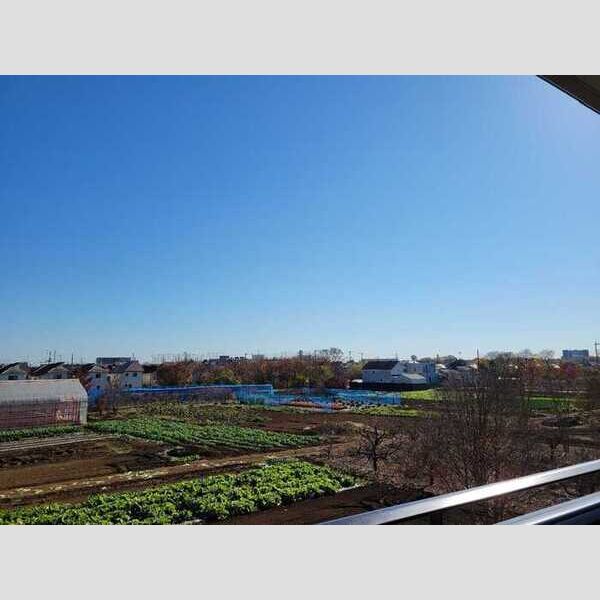 クレール清水205号室 青空と緑が映える眺望です。