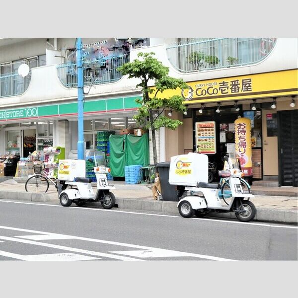 メゾン ド ソレイユ　E303号室 ローソン100蕨中央店　Coco壱番屋蕨中央店