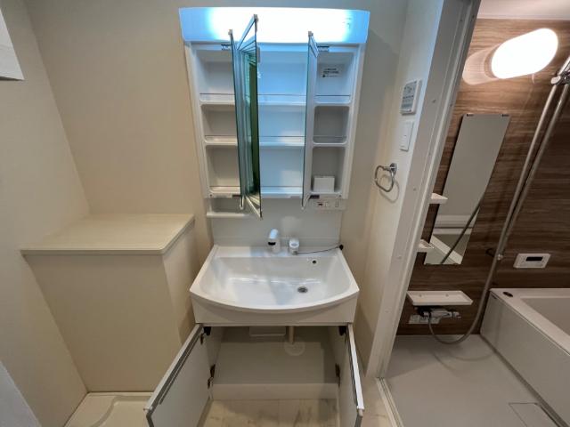 ベラビスタ木場 洗面化粧台