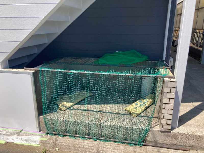 αNEXT津田沼第71階 部屋その他