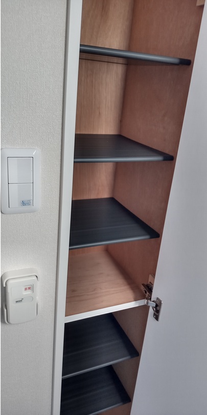 レオパレスＧＯＬＤ　ＬＥＯ　Ⅰ201号室 部屋その他