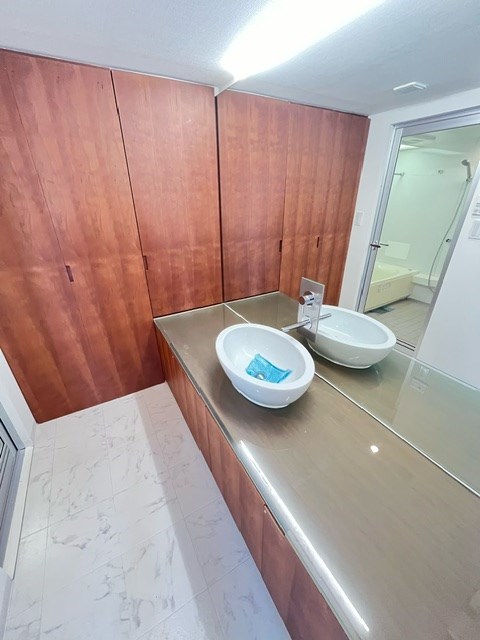 レジディア北新宿3階 洗面