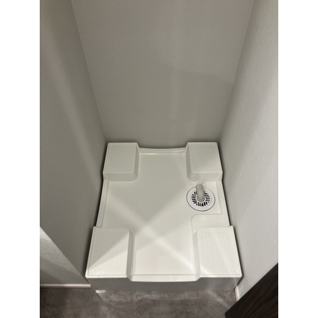 ACP Residence 新江古田0404号室 室内洗濯機置場