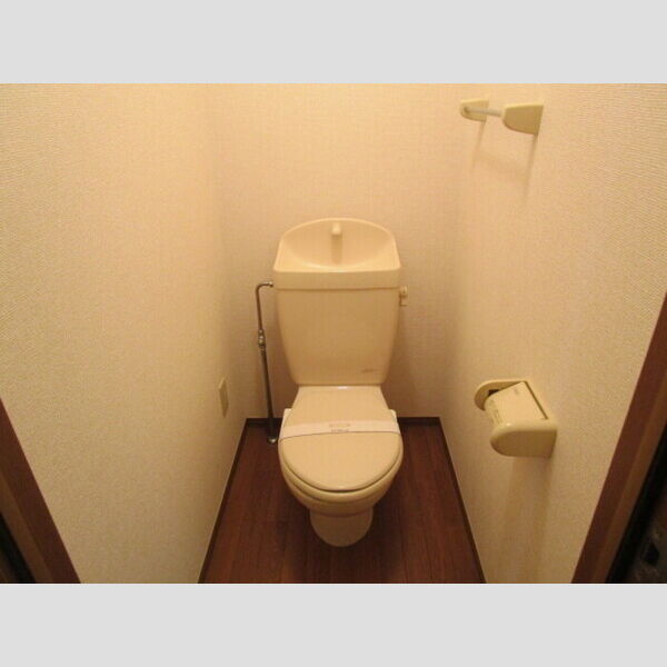 ドミールシャルマン トイレ