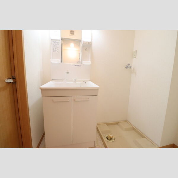 Blueberry　Ⅰ・ⅡⅠ201号室 洗面所