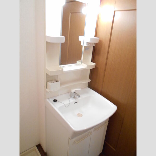 グランドメゾン　A/BA101号室 洗面所