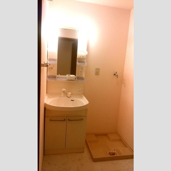 セジュール山の根 洗面