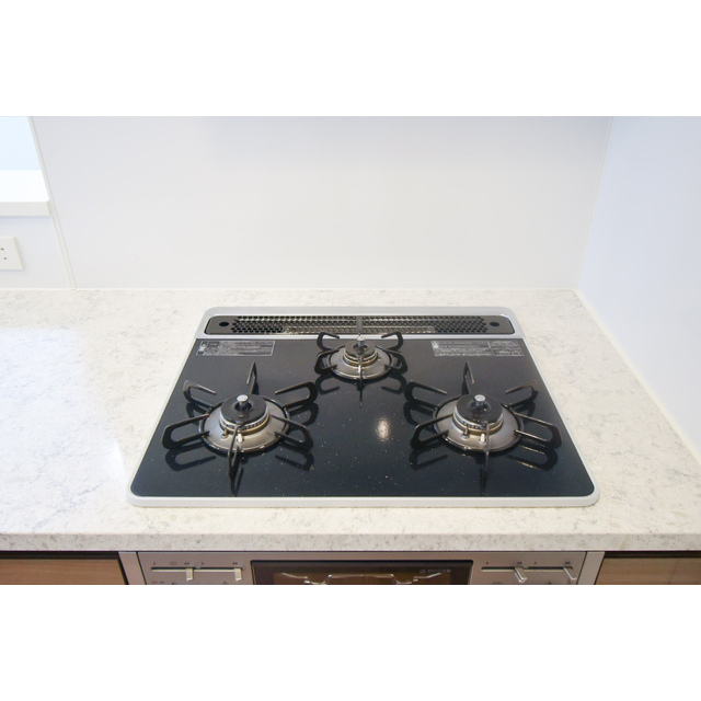 オーパスホームズ武蔵小金井0204号室 同建物別部屋の参考画像