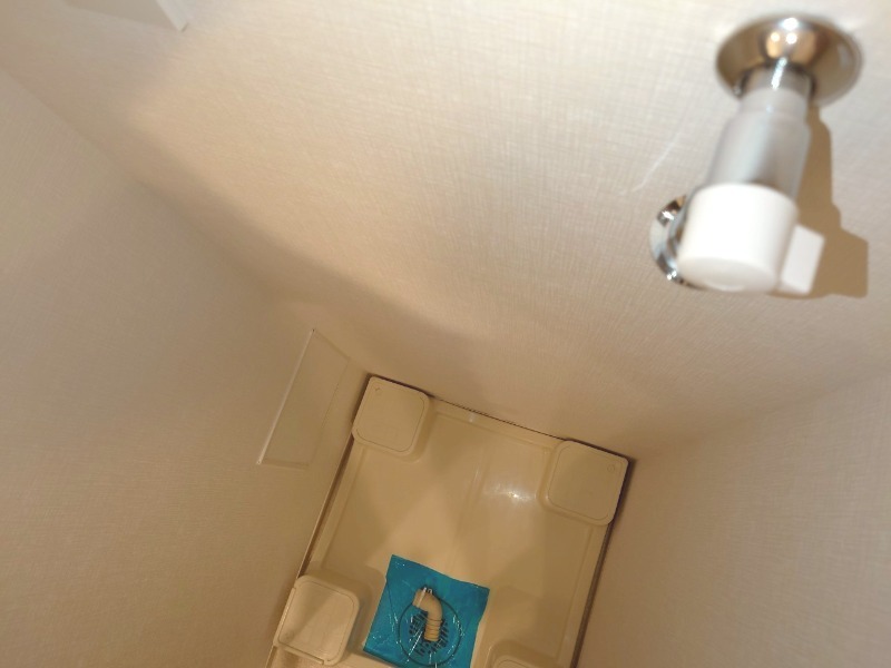 TFレジデンス川崎殿町EAST1階 室内洗濯機置場