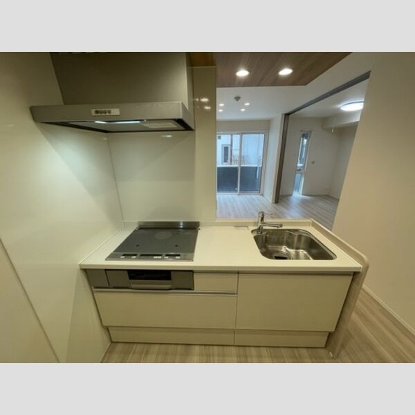 プランドール(富士見)103号室 システムキッチン
