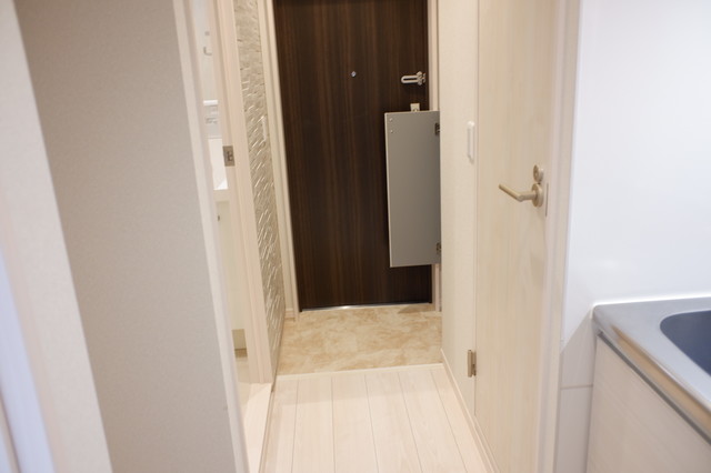 Ｌｅｓ　Ｍｅｒｖｅｉｌｌｅｕｓｅｓ0202号室 玄関