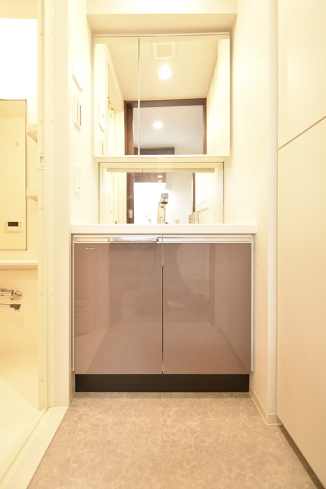 グランパセオ清澄白河Ⅱ0106号室 洗面