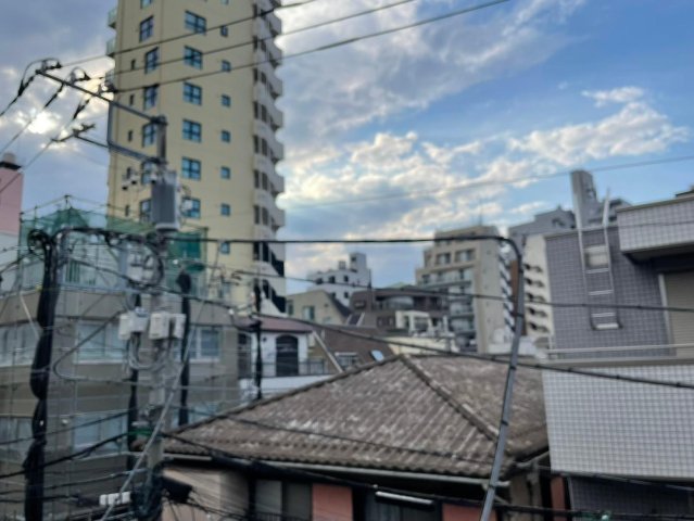 プライムコート白山307号室 展望