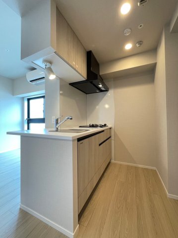 DIPS東十条駅前PREMIUM404号室 キッチン