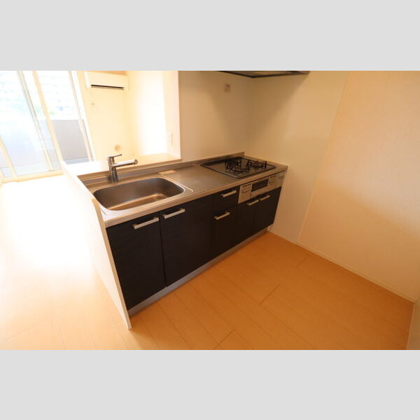 セントラルパーク206号室 対面キッチン