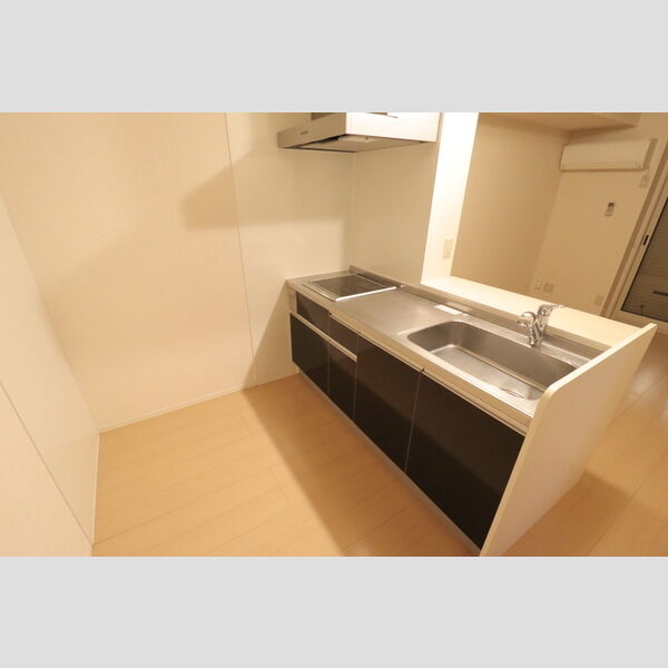 ピラタス　Ⅹ105号室 対面式システムキッチン