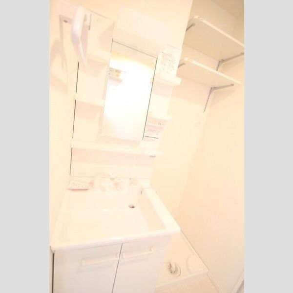 ラリュール谷在家 独立洗面台