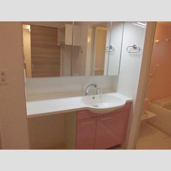 Linx　Park　Side　リンクス パーク サイド201号室 洗面化粧台