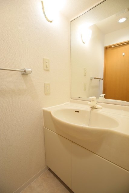 メゾン・ド・ヴィレ神田神保町 洗面