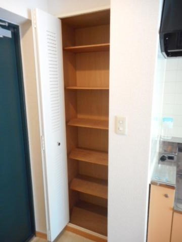 プレジールカネノ0310号室 収納