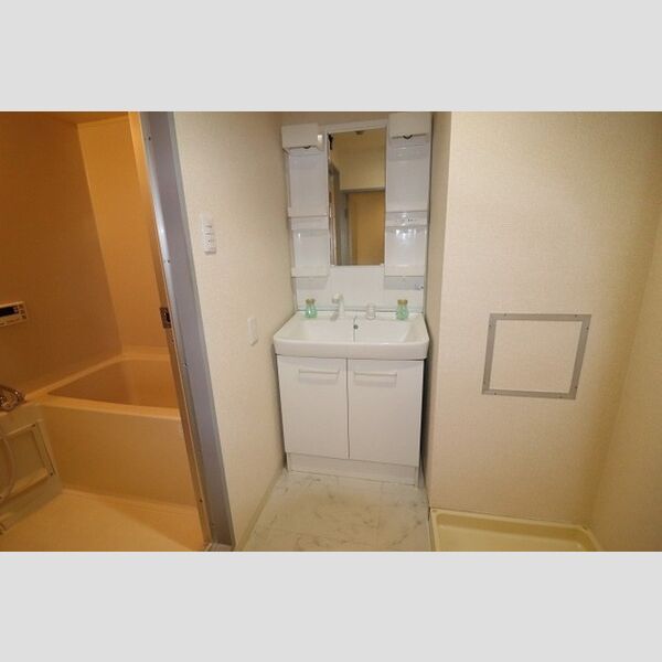 プレジール井山106号室 洗髪洗面化粧台