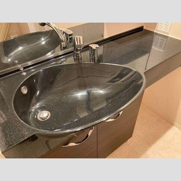 レインボーハウス(A)・エオス仲久保(B)　BB205号室 洗面