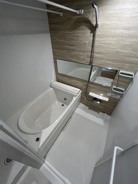 Plumeria　Y・K 別階参考写真