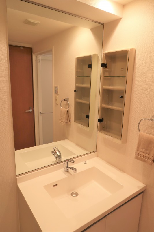 グレイスコート志村三丁目3階 洗面