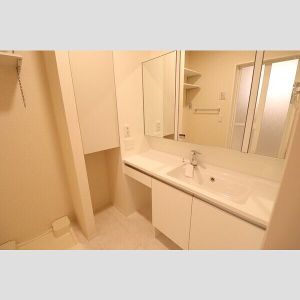 Le Ginkgo102号室 洗髪洗面化粧台