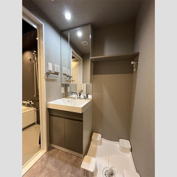 S-RESIDENCE目黒大岡山bresa202号室 洗面