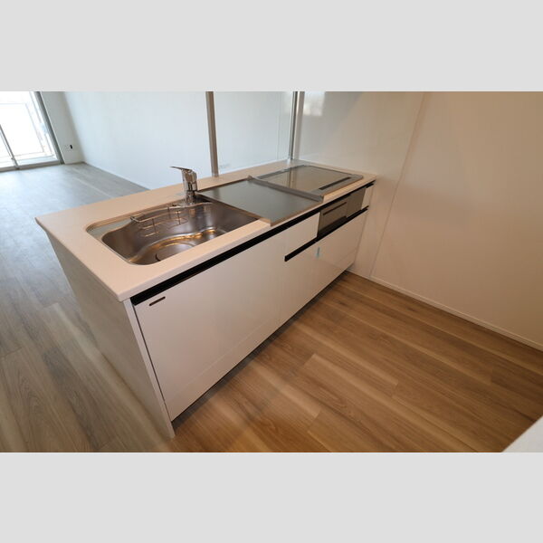 THE RejuvePort KISARAZU0801号室 システムキッチン