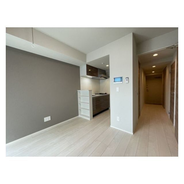 ドゥーエ亀戸Ⅱ1001号室 ダイニングキッチン　7.1帖