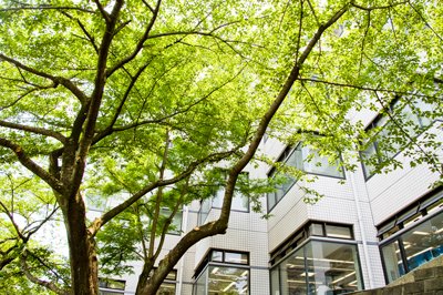 南青山ハウス2階 【図書館】國學院大学図書館まで1153ｍ