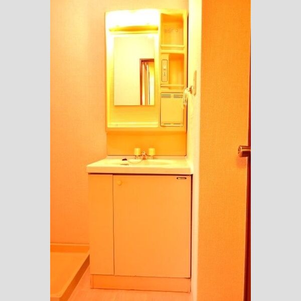 ラ・リヴィエールⅢ203号室 洗髪洗面化粧台