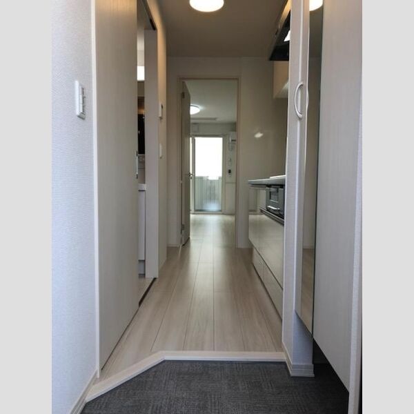 ルミナス ハイム203号室 玄関