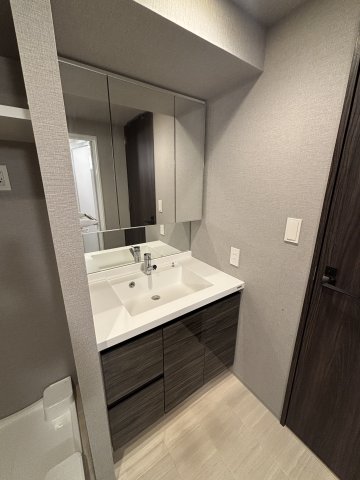 びゅうリエットグラン新宿戸山521号室 洗面