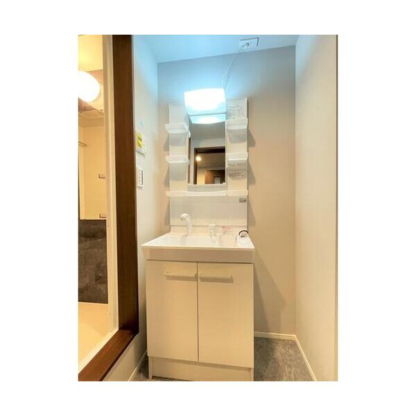 Fika　大宮日進101号室 洗面