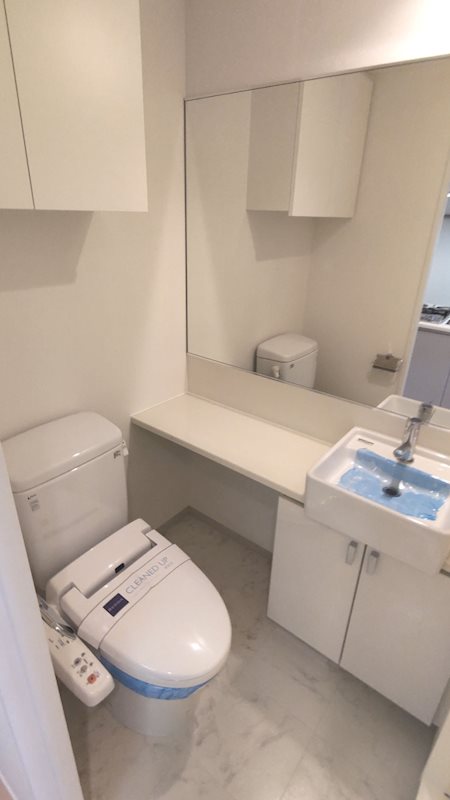 レジディア月島Ⅲ4階 洗面