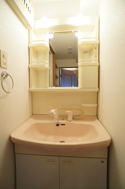 メゾン・デュ・リラ0203号室 シャンプードレッサー付き