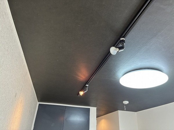 グリーンハイツ西町111号室 部屋その他