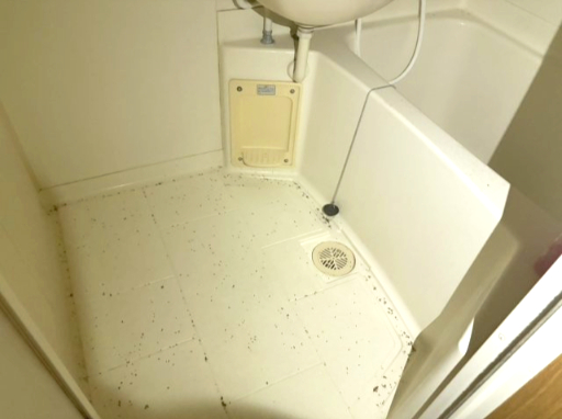 エクセルハイツⅢ番館102号室 クリーニング前の写真です