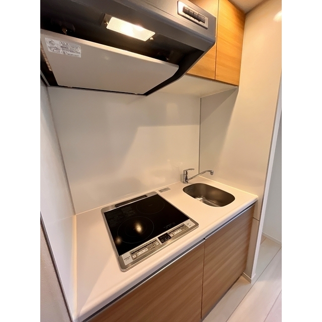 エムズイースト亀戸Ⅱ503号室 2026年1月撮影