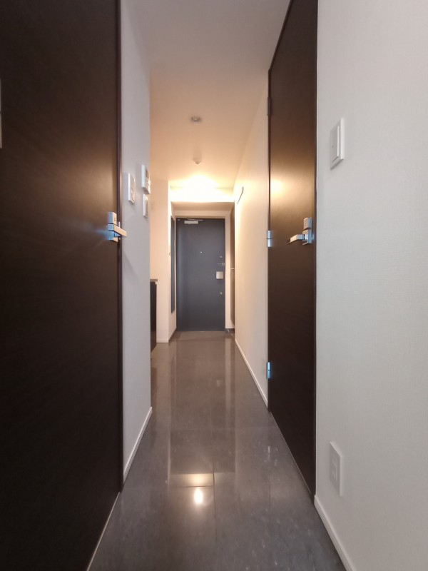 コンシェリア新橋 ＭＡＳＴＥＲ’Ｓ ＶＩＬＬＡ9階 玄関