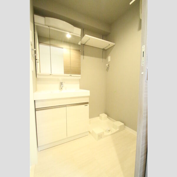 ロイジェント九段406号室 洗面